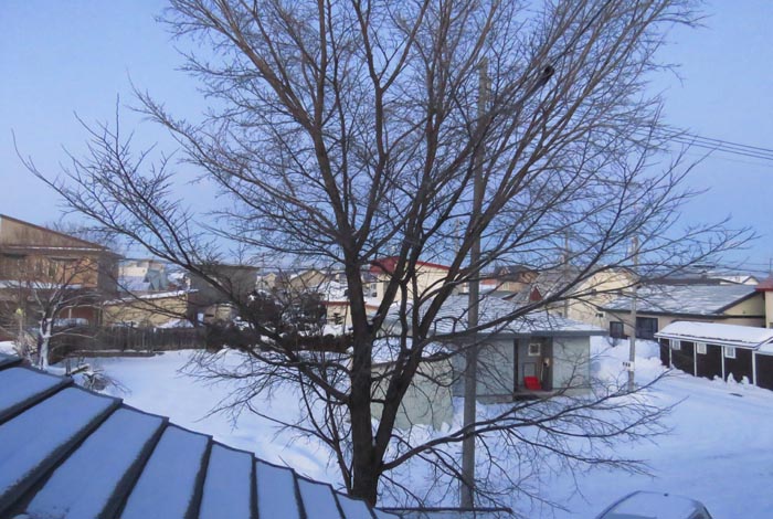 webnews�����̖k���^���̋�