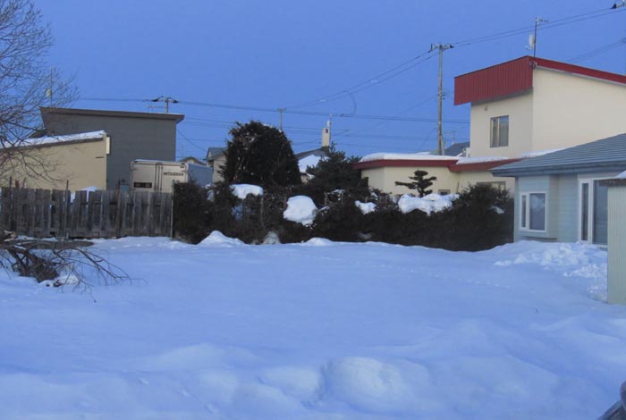 webnews�����̖k��