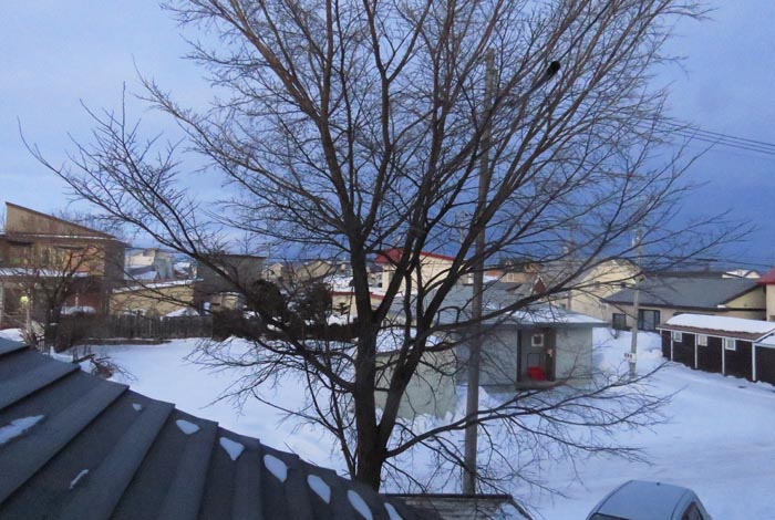 webnews�����̖k���^���̋�