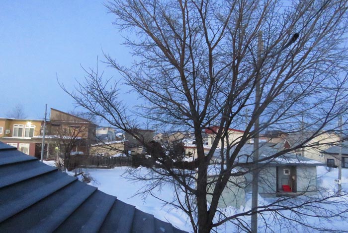 webnews�����̖k���^���̋�