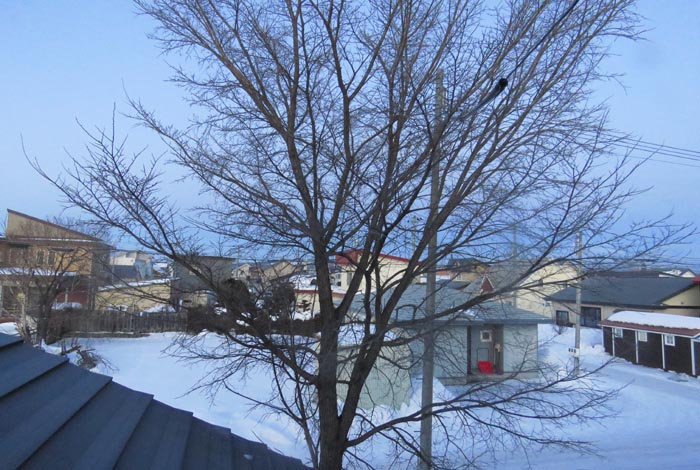 webnews�����̖k���^���̋�