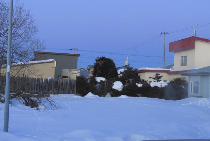 webnews�����̖k��