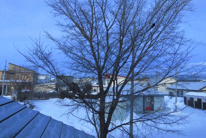 webnews�����̖k���^���̋�