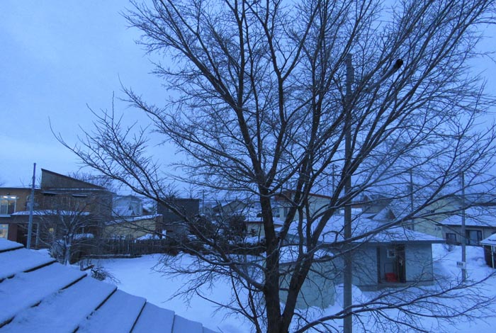 webnews�����̖k���^���̋�