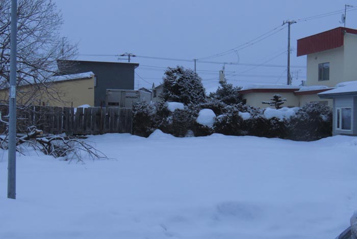 webnews�����̖k��