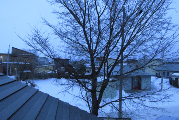 webnews�����̖k���^���̋�