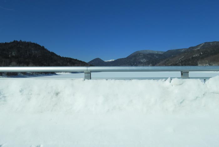 webnews�����̖k���^���̎q�_��