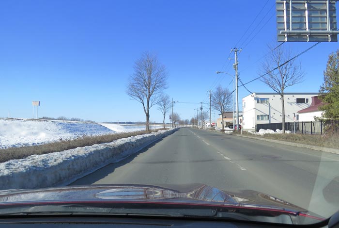 webnews�����̖k���^���̎q�_��