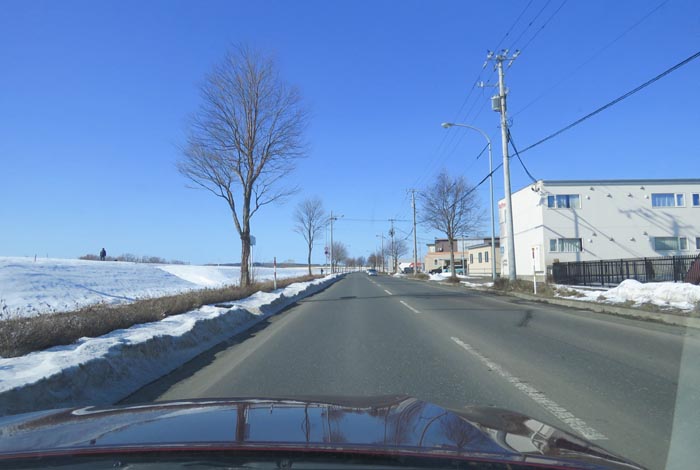 webnews�����̖k���^���̎q�_��