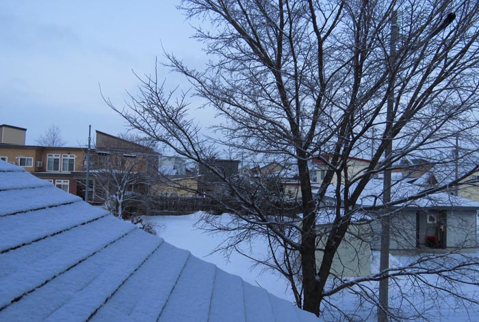 webnews�����̖k���^���̋�