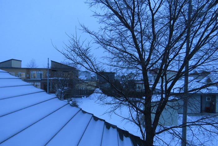 webnews�����̖k���^���̋�