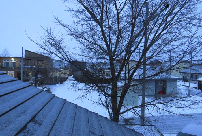 webnews�����̖k���^���̋�