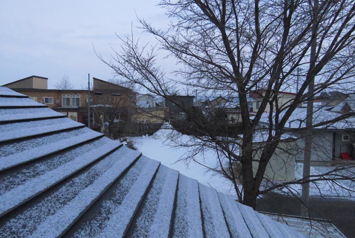 webnews�����̖k���^���̋�