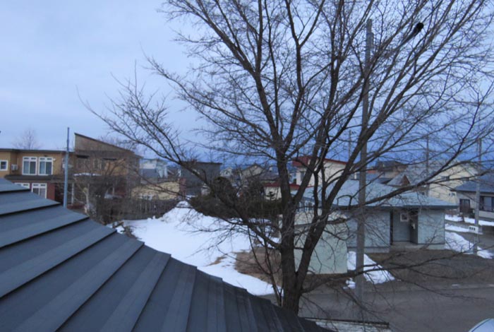 webnews�����̖k���^���̋�