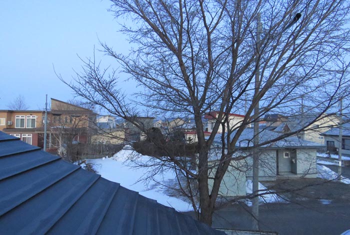 webnews�����̖k���^���̋�