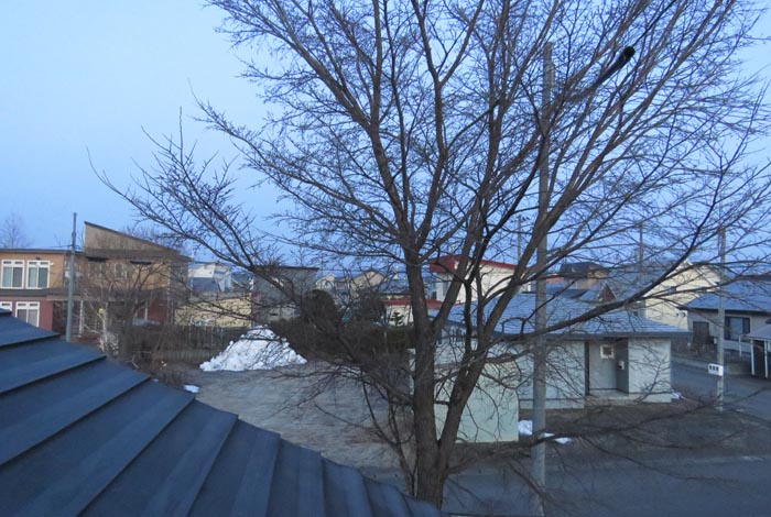 webnews�����̖k���^���̋�